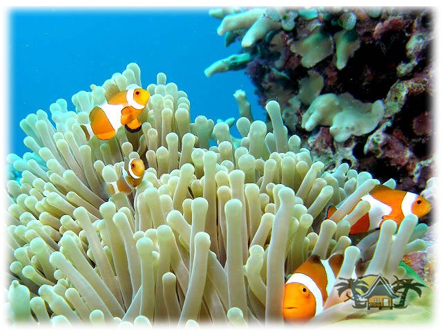 Under Water world Part 1