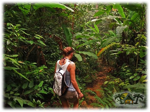 Jungle Tracking Part 2